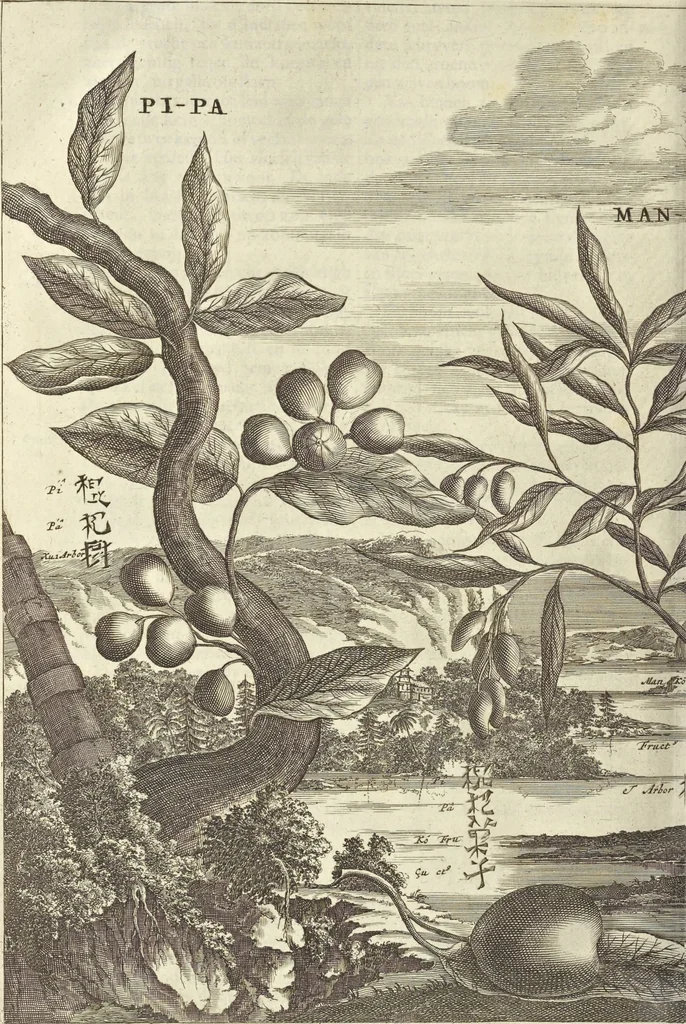 An illustration from Gedenkwaerdig bedryf der Nederlandsche Oost-Indische Maetschappye, op de kuste en in het keizerrijk van Taising of Sina : behelzende het tweede gezandschap aen den onder-koning Singlamong en veldheer Taising Lipoui, door Jan van Kampen en Konstantyn Nobel : vervolgt met een verhael van het voorgevallen des jaers zestien hondert drie en vier en zestig, op de kuste van Sina, en ontrent d'eilanden Tayowan, Formosa, Ay en Quemuy, onder't gezag van Balthasar Bort : en het derde gezandschap aen Konchy, Tartarsche keizer van Sina en Oost-Tartarye : onder beleit van zijne ed. Pieter van Hoorn : beneffens een beschryving van geheel Sina : verçiert doorgaens met verscheide kopere platen, 1670, leaf 1004