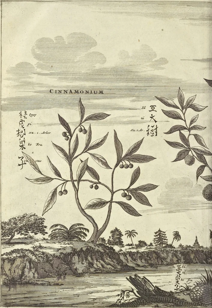 An illustration from Gedenkwaerdig bedryf der Nederlandsche Oost-Indische Maetschappye, op de kuste en in het keizerrijk van Taising of Sina : behelzende het tweede gezandschap aen den onder-koning Singlamong en veldheer Taising Lipoui, door Jan van Kampen en Konstantyn Nobel : vervolgt met een verhael van het voorgevallen des jaers zestien hondert drie en vier en zestig, op de kuste van Sina, en ontrent d'eilanden Tayowan, Formosa, Ay en Quemuy, onder't gezag van Balthasar Bort : en het derde gezandschap aen Konchy, Tartarsche keizer van Sina en Oost-Tartarye : onder beleit van zijne ed. Pieter van Hoorn : beneffens een beschryving van geheel Sina : verçiert doorgaens met verscheide kopere platen, 1670, leaf 1008