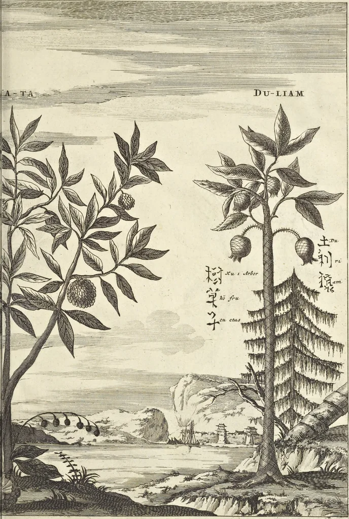 An illustration from Gedenkwaerdig bedryf der Nederlandsche Oost-Indische Maetschappye, op de kuste en in het keizerrijk van Taising of Sina : behelzende het tweede gezandschap aen den onder-koning Singlamong en veldheer Taising Lipoui, door Jan van Kampen en Konstantyn Nobel : vervolgt met een verhael van het voorgevallen des jaers zestien hondert drie en vier en zestig, op de kuste van Sina, en ontrent d'eilanden Tayowan, Formosa, Ay en Quemuy, onder't gezag van Balthasar Bort : en het derde gezandschap aen Konchy, Tartarsche keizer van Sina en Oost-Tartarye : onder beleit van zijne ed. Pieter van Hoorn : beneffens een beschryving van geheel Sina : verçiert doorgaens met verscheide kopere platen, 1670, leaf 1009