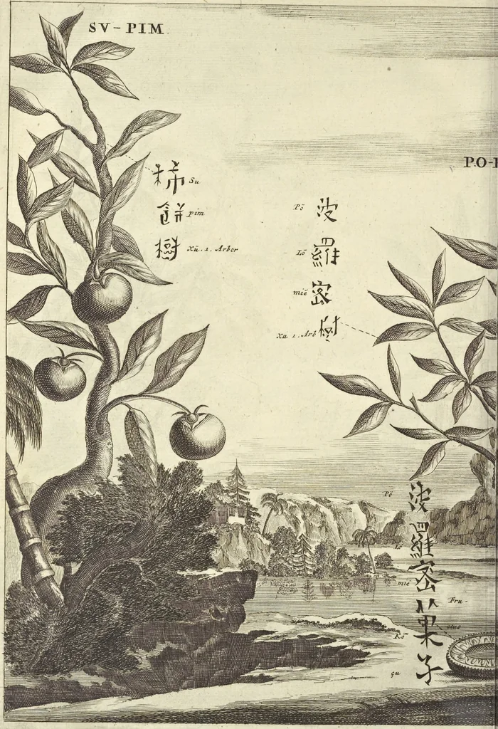 An illustration from Gedenkwaerdig bedryf der Nederlandsche Oost-Indische Maetschappye, op de kuste en in het keizerrijk van Taising of Sina : behelzende het tweede gezandschap aen den onder-koning Singlamong en veldheer Taising Lipoui, door Jan van Kampen en Konstantyn Nobel : vervolgt met een verhael van het voorgevallen des jaers zestien hondert drie en vier en zestig, op de kuste van Sina, en ontrent d'eilanden Tayowan, Formosa, Ay en Quemuy, onder't gezag van Balthasar Bort : en het derde gezandschap aen Konchy, Tartarsche keizer van Sina en Oost-Tartarye : onder beleit van zijne ed. Pieter van Hoorn : beneffens een beschryving van geheel Sina : verçiert doorgaens met verscheide kopere platen, 1670, leaf 1012