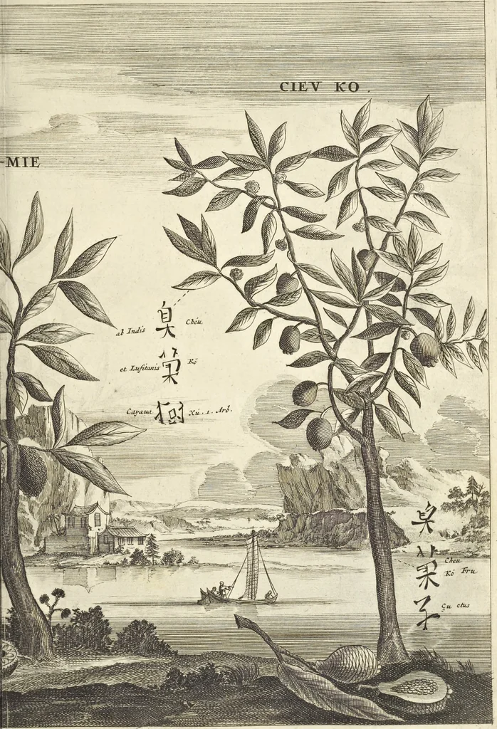 An illustration from Gedenkwaerdig bedryf der Nederlandsche Oost-Indische Maetschappye, op de kuste en in het keizerrijk van Taising of Sina : behelzende het tweede gezandschap aen den onder-koning Singlamong en veldheer Taising Lipoui, door Jan van Kampen en Konstantyn Nobel : vervolgt met een verhael van het voorgevallen des jaers zestien hondert drie en vier en zestig, op de kuste van Sina, en ontrent d'eilanden Tayowan, Formosa, Ay en Quemuy, onder't gezag van Balthasar Bort : en het derde gezandschap aen Konchy, Tartarsche keizer van Sina en Oost-Tartarye : onder beleit van zijne ed. Pieter van Hoorn : beneffens een beschryving van geheel Sina : verçiert doorgaens met verscheide kopere platen, 1670, leaf 1013
