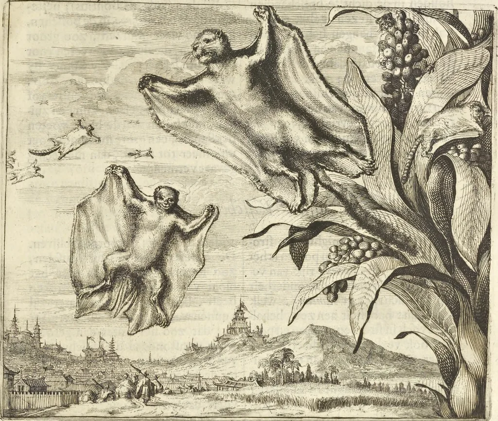 An illustration from Gedenkwaerdig bedryf der Nederlandsche Oost-Indische Maetschappye, op de kuste en in het keizerrijk van Taising of Sina : behelzende het tweede gezandschap aen den onder-koning Singlamong en veldheer Taising Lipoui, door Jan van Kampen en Konstantyn Nobel : vervolgt met een verhael van het voorgevallen des jaers zestien hondert drie en vier en zestig, op de kuste van Sina, en ontrent d'eilanden Tayowan, Formosa, Ay en Quemuy, onder't gezag van Balthasar Bort : en het derde gezandschap aen Konchy, Tartarsche keizer van Sina en Oost-Tartarye : onder beleit van zijne ed. Pieter van Hoorn : beneffens een beschryving van geheel Sina : verçiert doorgaens met verscheide kopere platen, 1670, leaf 102