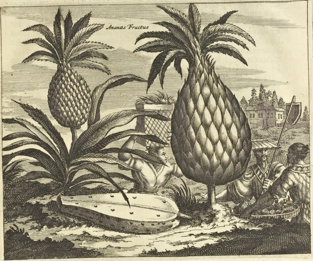 An illustration from Gedenkwaerdig bedryf der Nederlandsche Oost-Indische Maetschappye, op de kuste en in het keizerrijk van Taising of Sina : behelzende het tweede gezandschap aen den onder-koning Singlamong en veldheer Taising Lipoui, door Jan van Kampen en Konstantyn Nobel : vervolgt met een verhael van het voorgevallen des jaers zestien hondert drie en vier en zestig, op de kuste van Sina, en ontrent d'eilanden Tayowan, Formosa, Ay en Quemuy, onder't gezag van Balthasar Bort : en het derde gezandschap aen Konchy, Tartarsche keizer van Sina en Oost-Tartarye : onder beleit van zijne ed. Pieter van Hoorn : beneffens een beschryving van geheel Sina : verçiert doorgaens met verscheide kopere platen, 1670, leaf 1027