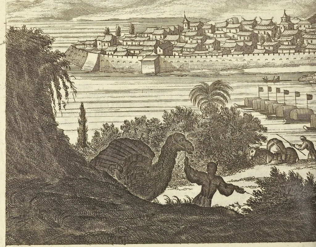 An illustration from Gedenkwaerdig bedryf der Nederlandsche Oost-Indische Maetschappye, op de kuste en in het keizerrijk van Taising of Sina : behelzende het tweede gezandschap aen den onder-koning Singlamong en veldheer Taising Lipoui, door Jan van Kampen en Konstantyn Nobel : vervolgt met een verhael van het voorgevallen des jaers zestien hondert drie en vier en zestig, op de kuste van Sina, en ontrent d'eilanden Tayowan, Formosa, Ay en Quemuy, onder't gezag van Balthasar Bort : en het derde gezandschap aen Konchy, Tartarsche keizer van Sina en Oost-Tartarye : onder beleit van zijne ed. Pieter van Hoorn : beneffens een beschryving van geheel Sina : verçiert doorgaens met verscheide kopere platen, 1670, leaf 456