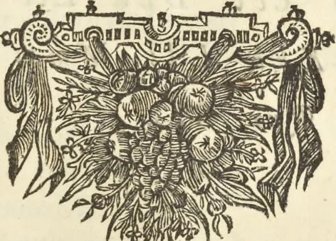 An illustration from Gedenkwaerdig bedryf der Nederlandsche Oost-Indische Maetschappye, op de kuste en in het keizerrijk van Taising of Sina : behelzende het tweede gezandschap aen den onder-koning Singlamong en veldheer Taising Lipoui, door Jan van Kampen en Konstantyn Nobel : vervolgt met een verhael van het voorgevallen des jaers zestien hondert drie en vier en zestig, op de kuste van Sina, en ontrent d'eilanden Tayowan, Formosa, Ay en Quemuy, onder't gezag van Balthasar Bort : en het derde gezandschap aen Konchy, Tartarsche keizer van Sina en Oost-Tartarye : onder beleit van zijne ed. Pieter van Hoorn : beneffens een beschryving van geheel Sina : verçiert doorgaens met verscheide kopere platen, 1670, leaf 727