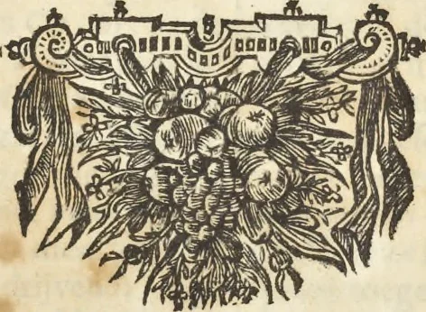 An illustration from Gedenkwaerdig bedryf der Nederlandsche Oost-Indische Maetschappye, op de kuste en in het keizerrijk van Taising of Sina : behelzende het tweede gezandschap aen den onder-koning Singlamong en veldheer Taising Lipoui, door Jan van Kampen en Konstantyn Nobel : vervolgt met een verhael van het voorgevallen des jaers zestien hondert drie en vier en zestig, op de kuste van Sina, en ontrent d'eilanden Tayowan, Formosa, Ay en Quemuy, onder't gezag van Balthasar Bort : en het derde gezandschap aen Konchy, Tartarsche keizer van Sina en Oost-Tartarye : onder beleit van zijne ed. Pieter van Hoorn : beneffens een beschryving van geheel Sina : verçiert doorgaens met verscheide kopere platen, 1670, leaf 731