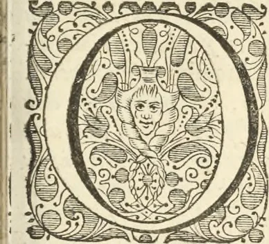 An illustration from Gedenkwaerdig bedryf der Nederlandsche Oost-Indische Maetschappye, op de kuste en in het keizerrijk van Taising of Sina : behelzende het tweede gezandschap aen den onder-koning Singlamong en veldheer Taising Lipoui, door Jan van Kampen en Konstantyn Nobel : vervolgt met een verhael van het voorgevallen des jaers zestien hondert drie en vier en zestig, op de kuste van Sina, en ontrent d'eilanden Tayowan, Formosa, Ay en Quemuy, onder't gezag van Balthasar Bort : en het derde gezandschap aen Konchy, Tartarsche keizer van Sina en Oost-Tartarye : onder beleit van zijne ed. Pieter van Hoorn : beneffens een beschryving van geheel Sina : verçiert doorgaens met verscheide kopere platen, 1670, leaf 733