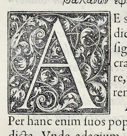 An illustration from Hortorvm libri triginta, 1560, leaf 137