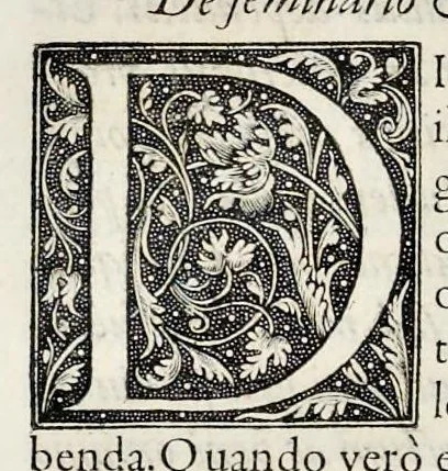 An illustration from Hortorvm libri triginta, 1560, leaf 259