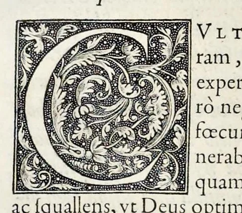 An illustration from Hortorvm libri triginta, 1560, leaf 321