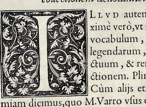 An illustration from Hortorvm libri triginta, 1560, leaf 384