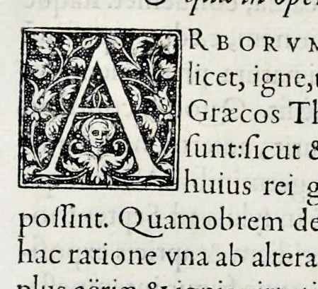 An illustration from Hortorvm libri triginta, 1560, leaf 407