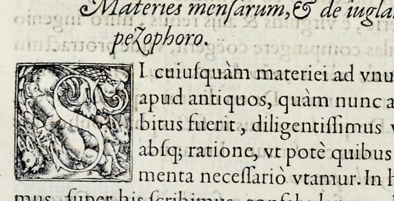 An illustration from Hortorvm libri triginta, 1560, leaf 425