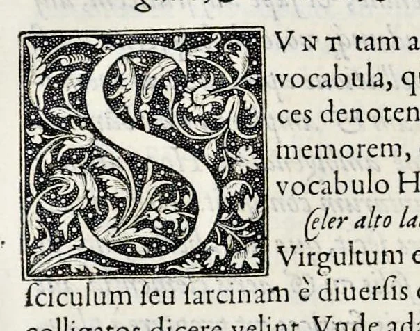 An illustration from Hortorvm libri triginta, 1560, leaf 675