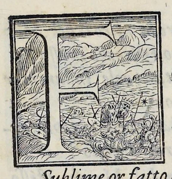 An illustration from Alcvne composizioni di diversi avtori in lode del ritratto della Sabina scolpito in marmo dall'eccellentissimo m. Giouanni Bologna, posto nella piazza del serenissimo gran duca di Toscana, 1583, leaf 20