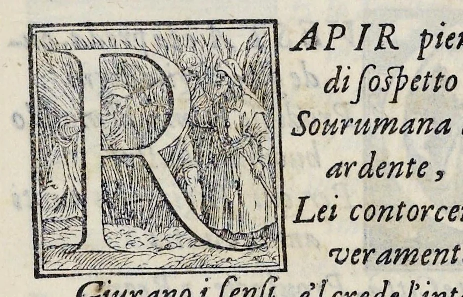 An illustration from Alcvne composizioni di diversi avtori in lode del ritratto della Sabina scolpito in marmo dall'eccellentissimo m. Giouanni Bologna, posto nella piazza del serenissimo gran duca di Toscana, 1583, leaf 24