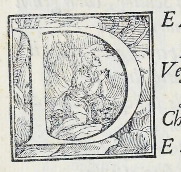 An illustration from Alcvne composizioni di diversi avtori in lode del ritratto della Sabina scolpito in marmo dall'eccellentissimo m. Giouanni Bologna, posto nella piazza del serenissimo gran duca di Toscana, 1583, leaf 27