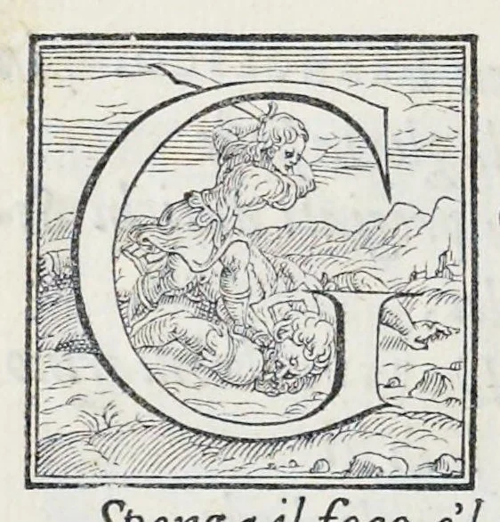 An illustration from Alcvne composizioni di diversi avtori in lode del ritratto della Sabina scolpito in marmo dall'eccellentissimo m. Giouanni Bologna, posto nella piazza del serenissimo gran duca di Toscana, 1583, leaf 29