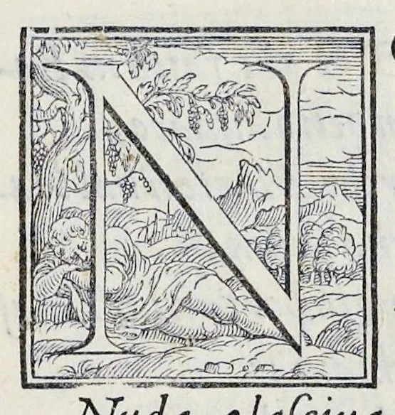 An illustration from Alcvne composizioni di diversi avtori in lode del ritratto della Sabina scolpito in marmo dall'eccellentissimo m. Giouanni Bologna, posto nella piazza del serenissimo gran duca di Toscana, 1583, leaf 30
