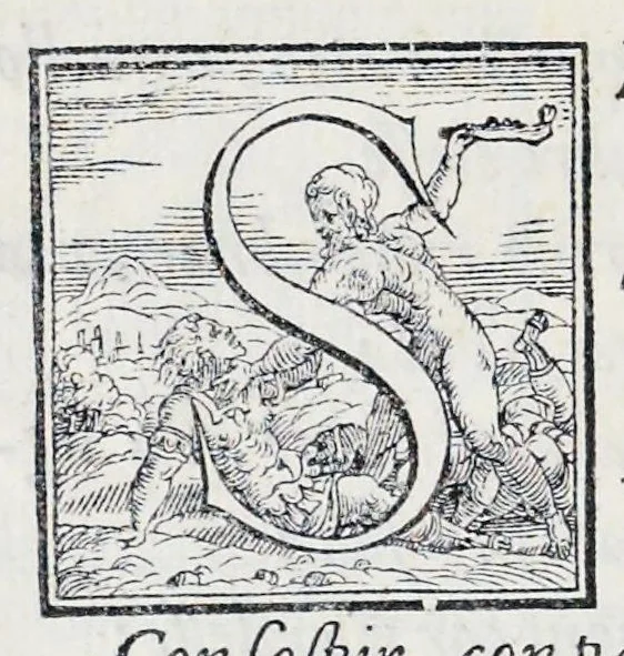An illustration from Alcvne composizioni di diversi avtori in lode del ritratto della Sabina scolpito in marmo dall'eccellentissimo m. Giouanni Bologna, posto nella piazza del serenissimo gran duca di Toscana, 1583, leaf 31