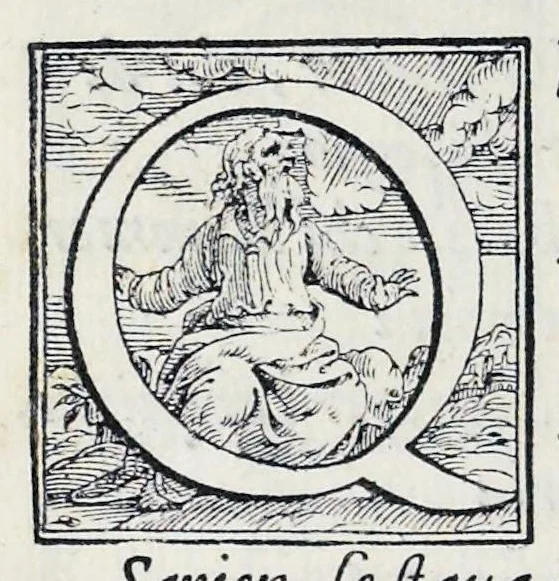 An illustration from Alcvne composizioni di diversi avtori in lode del ritratto della Sabina scolpito in marmo dall'eccellentissimo m. Giouanni Bologna, posto nella piazza del serenissimo gran duca di Toscana, 1583, leaf 35