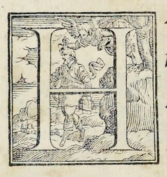 An illustration from Alcvne composizioni di diversi avtori in lode del ritratto della Sabina scolpito in marmo dall'eccellentissimo m. Giouanni Bologna, posto nella piazza del serenissimo gran duca di Toscana, 1583, leaf 63