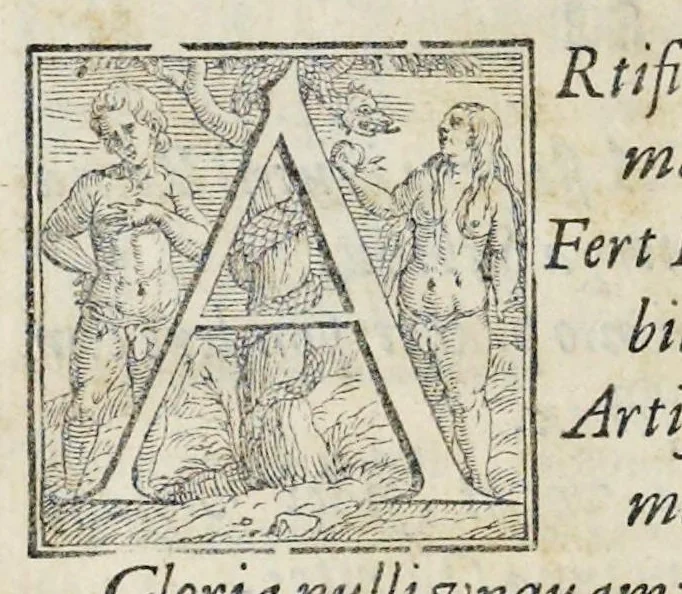 An illustration from Alcvne composizioni di diversi avtori in lode del ritratto della Sabina scolpito in marmo dall'eccellentissimo m. Giouanni Bologna, posto nella piazza del serenissimo gran duca di Toscana, 1583, leaf 65