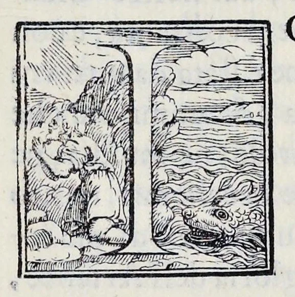 An illustration from Alcvne composizioni di diversi avtori in lode del ritratto della Sabina scolpito in marmo dall'eccellentissimo m. Giouanni Bologna, posto nella piazza del serenissimo gran duca di Toscana, 1583, leaf 8