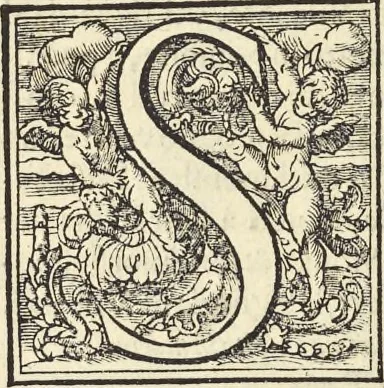 An illustration from Cremona fedelissima citta et nobilissima colonia de Romani : rappresentata in disegno col svo contado et illvstrata d'vna breve historia delle cose piv notabili appartenenti ad essa et de i ritratti natvrali de dvchi et dvchesse di Milano e compendio delle lor vite, 1585, leaf 187