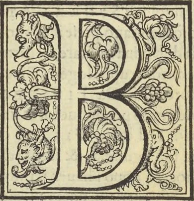 An illustration from Cremona fedelissima citta et nobilissima colonia de Romani : rappresentata in disegno col svo contado et illvstrata d'vna breve historia delle cose piv notabili appartenenti ad essa et de i ritratti natvrali de dvchi et dvchesse di Milano e compendio delle lor vite, 1585, leaf 190