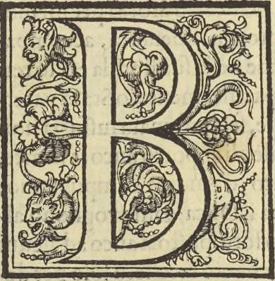 An illustration from Cremona fedelissima citta et nobilissima colonia de Romani : rappresentata in disegno col svo contado et illvstrata d'vna breve historia delle cose piv notabili appartenenti ad essa et de i ritratti natvrali de dvchi et dvchesse di Milano e compendio delle lor vite, 1585, leaf 192