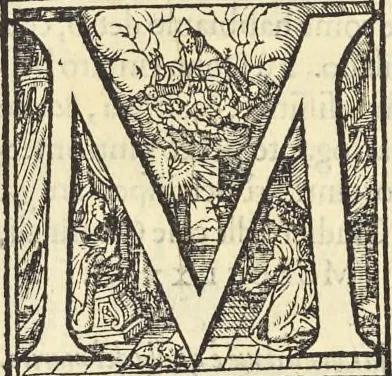 An illustration from Cremona fedelissima citta et nobilissima colonia de Romani : rappresentata in disegno col svo contado et illvstrata d'vna breve historia delle cose piv notabili appartenenti ad essa et de i ritratti natvrali de dvchi et dvchesse di Milano e compendio delle lor vite, 1585, leaf 199