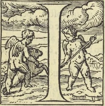 An illustration from Cremona fedelissima citta et nobilissima colonia de Romani : rappresentata in disegno col svo contado et illvstrata d'vna breve historia delle cose piv notabili appartenenti ad essa et de i ritratti natvrali de dvchi et dvchesse di Milano e compendio delle lor vite, 1585, leaf 206