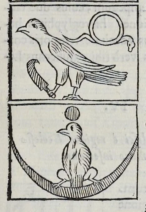 An illustration from Ad Alexandrum VII. Pont. Max. Obelisci Aegyptiaci : nuper inter Isaei Romani rudera effossi interpretatio hieroglyphica, 1666, leaf 154