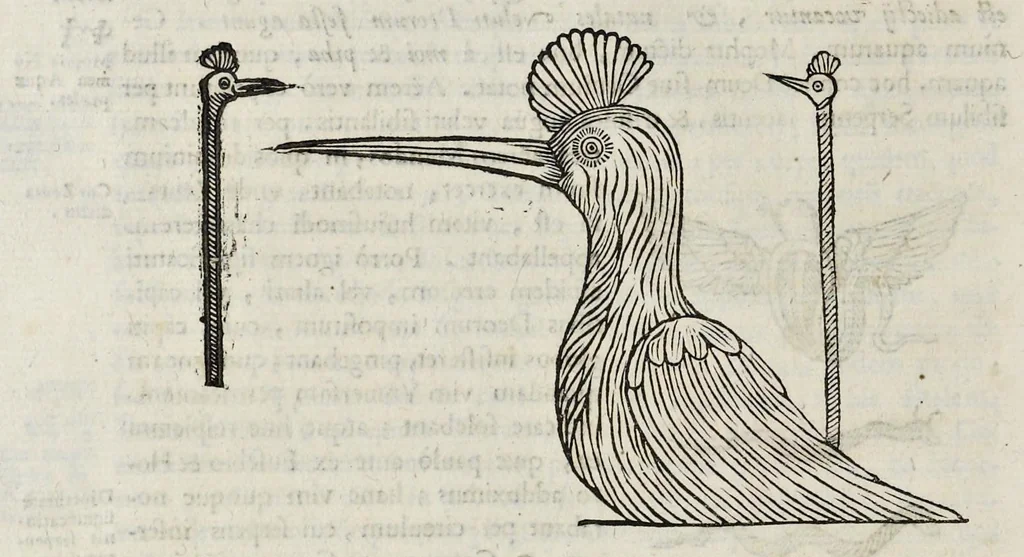 An illustration from Ad Alexandrum VII. Pont. Max. Obelisci Aegyptiaci : nuper inter Isaei Romani rudera effossi interpretatio hieroglyphica, 1666, leaf 69