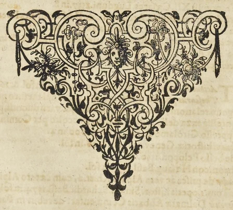 An illustration from Itinerarium Italiæ nov-antiquæ, oder, Raiss-Beschreibung durch Italien ..., 1640, leaf 23