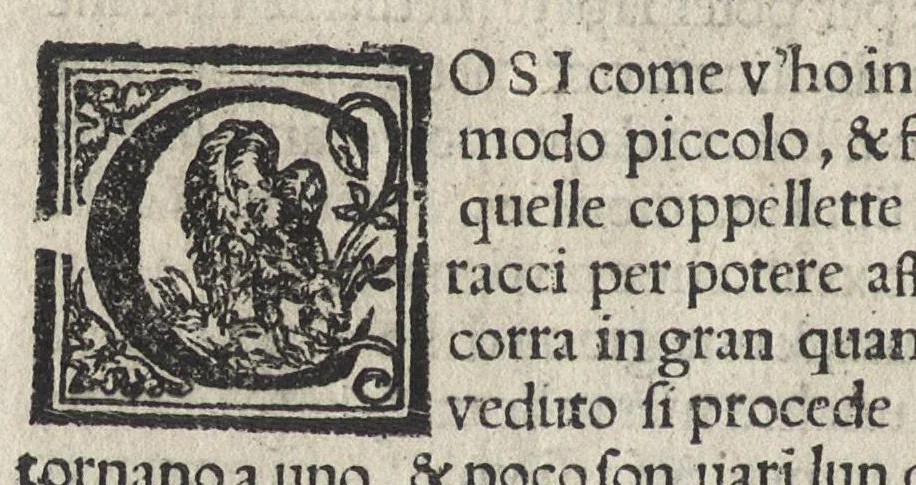 An illustration from Pirotechnia, li diece libri della pirotechnia : nelliquali si tratta non solo la diuersita delle minere, ma ancho quanto si ricerca alla prattica di effe : e di quanto s'appartiene all'arte della fusione ouer getto de metalli, e d'ogni altra cosa a questa somigliante, 1550, leaf 127