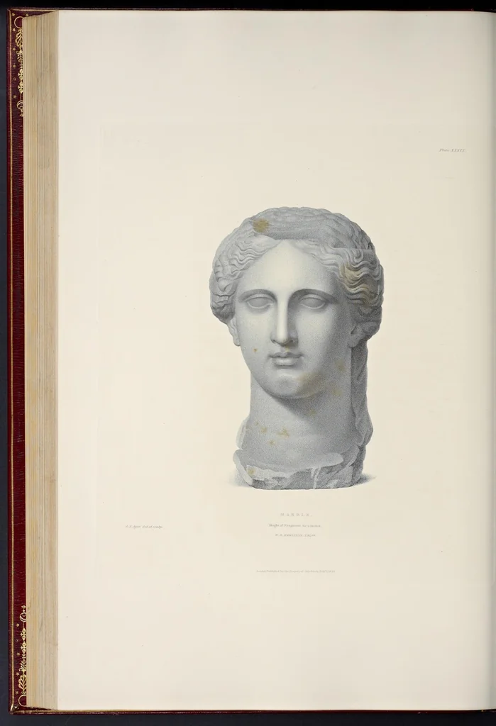 An illustration from Specimens of antient sculpture : Ægyptian, Etruscan, Greek, and Roman, 1809, leaf 231