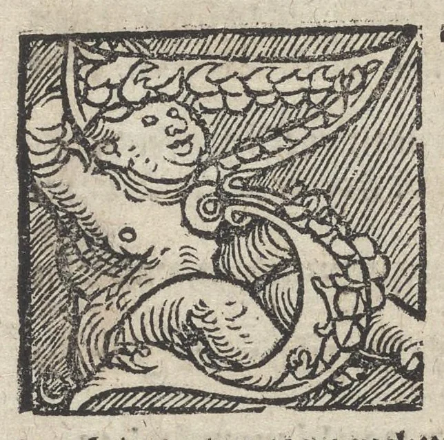 An illustration from Drey schoner künstreicher büchlein : das erste von Mackel vñ Flecken, die selben aus allerley gewandt, on schaden zu bringen : das ander von Stahel vnd Eysen, vnd allerley Metall, hart vnd weich zu machen : das dritte, von mancherley Farben zu bereyten : welcher titel du ynwendig an diesem blat klerlicher finden wirst, 1532, leaf 35