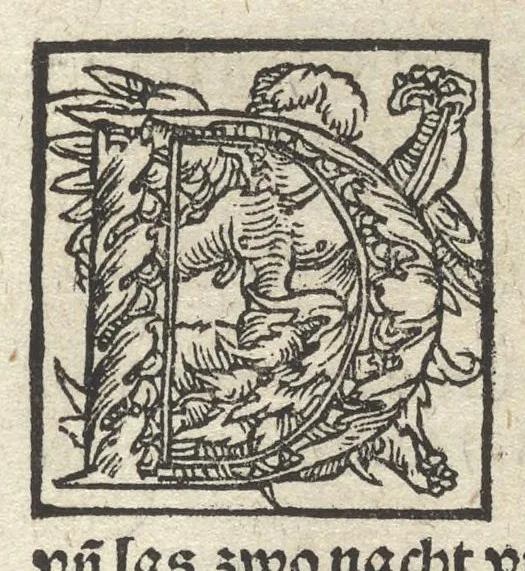 An illustration from Drey schoner künstreicher büchlein : das erste von Mackel vñ Flecken, die selben aus allerley gewandt, on schaden zu bringen : das ander von Stahel vnd Eysen, vnd allerley Metall, hart vnd weich zu machen : das dritte, von mancherley Farben zu bereyten : welcher titel du ynwendig an diesem blat klerlicher finden wirst, 1532, leaf 48