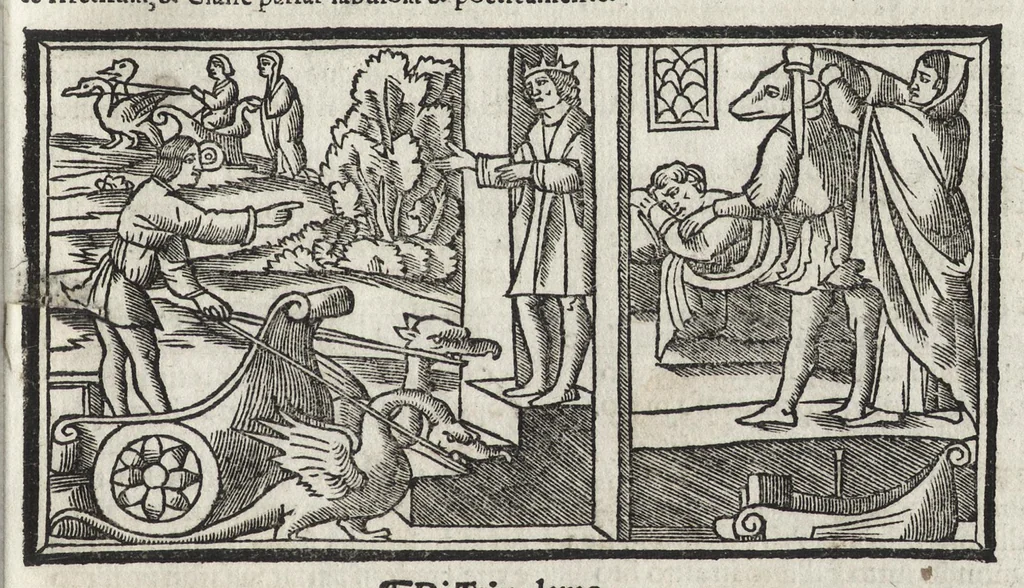 An illustration from Di Ovidio Le metamorphosi, cioe, Trasmutationi : tradotte dal latino diligentemente in uolgar uerso, con le sue allegorie, significatione & dichiaratione delle fabole in prosa, 1533, leaf 114