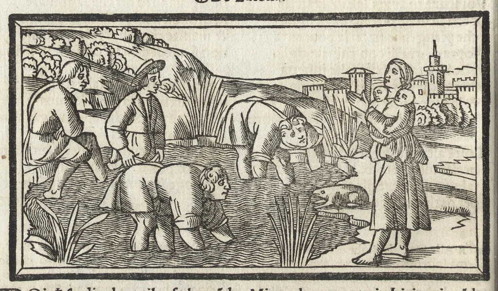 An illustration from Di Ovidio Le metamorphosi, cioe, Trasmutationi : tradotte dal latino diligentemente in uolgar uerso, con le sue allegorie, significatione & dichiaratione delle fabole in prosa, 1533, leaf 129