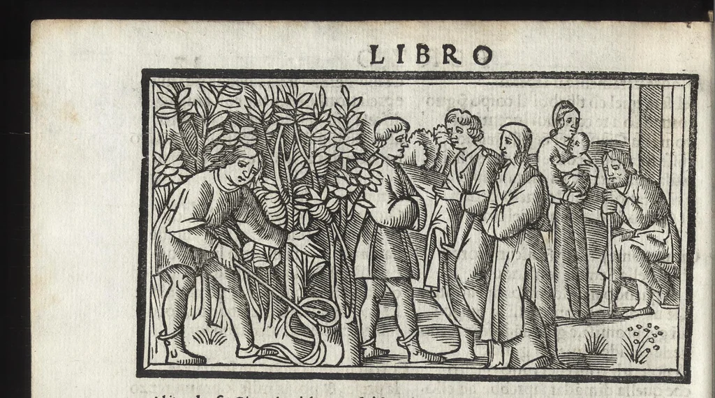 An illustration from Di Ovidio Le metamorphosi, cioe, Trasmutationi : tradotte dal latino diligentemente in uolgar uerso, con le sue allegorie, significatione & dichiaratione delle fabole in prosa, 1533, leaf 61