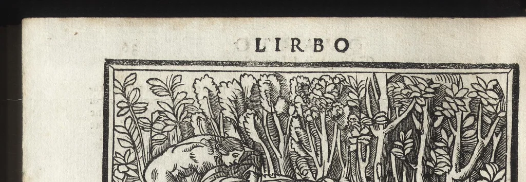 An illustration from Di Ovidio Le metamorphosi, cioe, Trasmutationi : tradotte dal latino diligentemente in uolgar uerso, con le sue allegorie, significatione & dichiaratione delle fabole in prosa, 1533, leaf 79