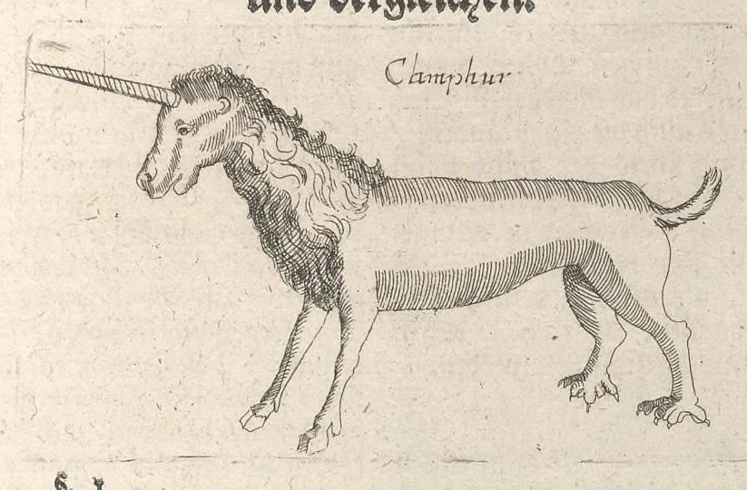 An illustration from Museum museorum, oder, Vollständige Schau Bühne aller Materialien und Specereyen : nebst deren natürlichen Beschreibung, Election, Nutzen und Gebrauch, aus andern Material-Kunst-und Naturalien-Kammern, oost-und-west-indischen Reiss-Beschreibungen ... : wie auch selbst-eigenen Erfahrung, zum Vorschub der studirenden Jugend, Materialisten ... u.s.w. also verfasset, und mit etlich hundert sauberen Kupfferstücken unter Augen geleget, 1714, leaf 214