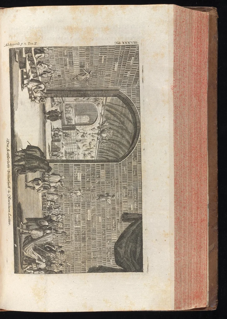 An illustration from Museum museorum, oder, Vollständige Schau Bühne aller Materialien und Specereyen : nebst deren natürlichen Beschreibung, Election, Nutzen und Gebrauch, aus andern Material-Kunst-und Naturalien-Kammern, oost-und-west-indischen Reiss-Beschreibungen ... : wie auch selbst-eigenen Erfahrung, zum Vorschub der studirenden Jugend, Materialisten ... u.s.w. also verfasset, und mit etlich hundert sauberen Kupfferstücken unter Augen geleget, 1714, leaf 302