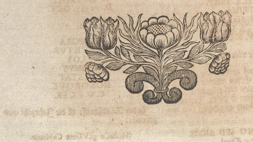 An illustration from Museum museorum, oder, Vollständige Schau Bühne aller Materialien und Specereyen : nebst deren natürlichen Beschreibung, Election, Nutzen und Gebrauch, aus andern Material-Kunst-und Naturalien-Kammern, oost-und-west-indischen Reiss-Beschreibungen ... : wie auch selbst-eigenen Erfahrung, zum Vorschub der studirenden Jugend, Materialisten ... u.s.w. also verfasset, und mit etlich hundert sauberen Kupfferstücken unter Augen geleget, 1714, leaf 411