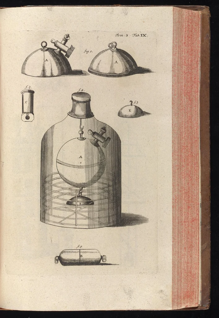 An illustration from Museum museorum, oder, Vollständige Schau Bühne aller Materialien und Specereyen : nebst deren natürlichen Beschreibung, Election, Nutzen und Gebrauch, aus andern Material-Kunst-und Naturalien-Kammern, oost-und-west-indischen Reiss-Beschreibungen ... : wie auch selbst-eigenen Erfahrung, zum Vorschub der studirenden Jugend, Materialisten ... u.s.w. also verfasset, und mit etlich hundert sauberen Kupfferstücken unter Augen geleget, 1714, leaf 444