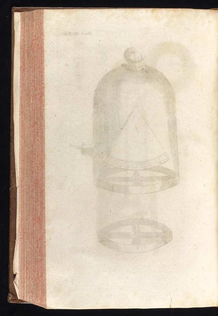 An illustration from Museum museorum, oder, Vollständige Schau Bühne aller Materialien und Specereyen : nebst deren natürlichen Beschreibung, Election, Nutzen und Gebrauch, aus andern Material-Kunst-und Naturalien-Kammern, oost-und-west-indischen Reiss-Beschreibungen ... : wie auch selbst-eigenen Erfahrung, zum Vorschub der studirenden Jugend, Materialisten ... u.s.w. also verfasset, und mit etlich hundert sauberen Kupfferstücken unter Augen geleget, 1714, leaf 453