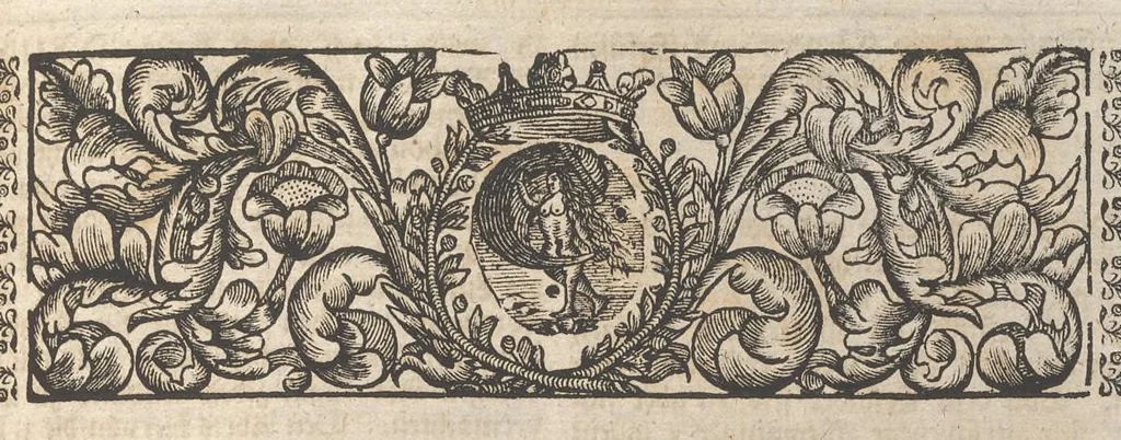 An illustration from Museum museorum, oder, Vollständige Schau Bühne aller Materialien und Specereyen : nebst deren natürlichen Beschreibung, Election, Nutzen und Gebrauch, aus andern Material-Kunst-und Naturalien-Kammern, oost-und-west-indischen Reiss-Beschreibungen ... : wie auch selbst-eigenen Erfahrung, zum Vorschub der studirenden Jugend, Materialisten ... u.s.w. also verfasset, und mit etlich hundert sauberen Kupfferstücken unter Augen geleget, 1714, leaf 466